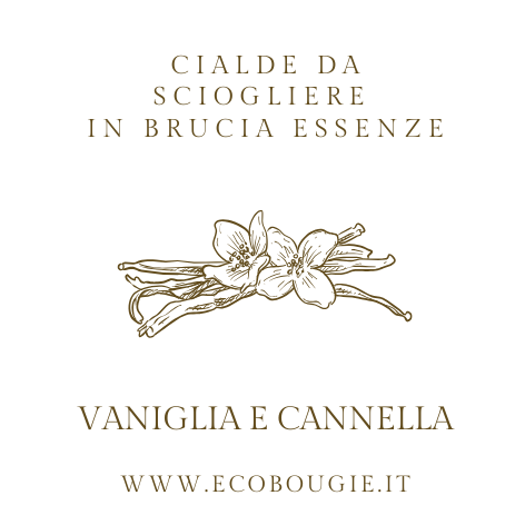 Wax Melt – Cialde di Cera di Soia | Profumazioni Assortite