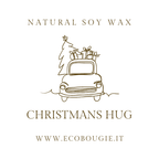 Wax Melt – Cialde di Cera di Soia | Profumazioni Assortite